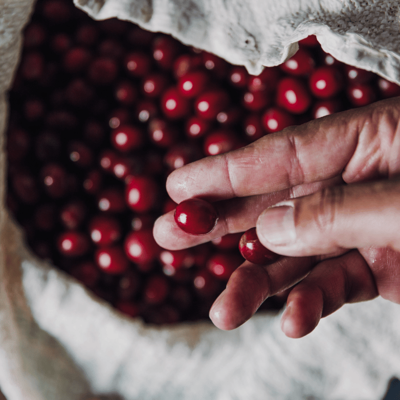 Mục tiêu và định hướng