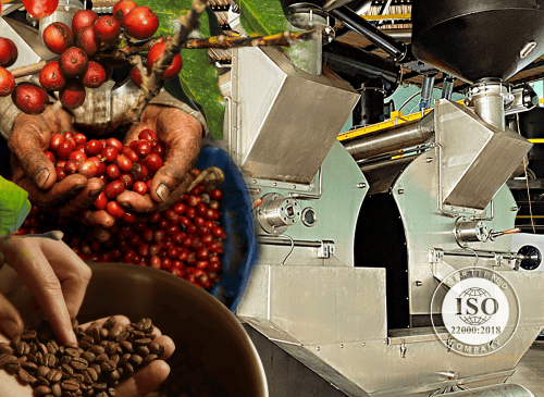 Qualified OEM Service